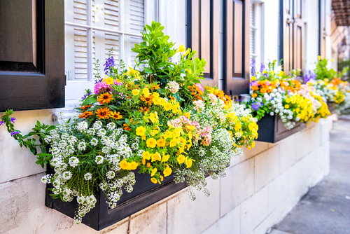 Read Next: Growing Food With The Kids: It's Fun and Healthy windowbox